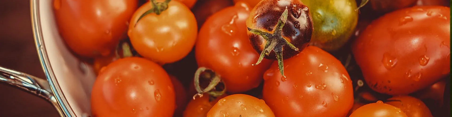 Natürliche botanische Extrakte und Antioxidantien