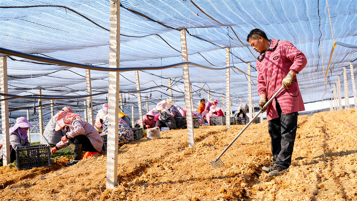 soil-health-management.jpg