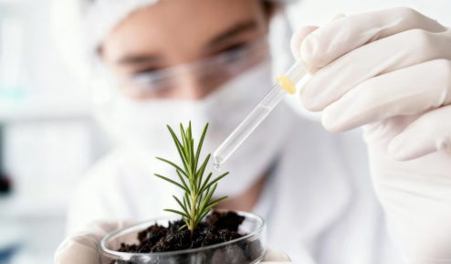 rosemary_leaf_extract_cleanse_the_scalp.png